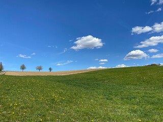 field and blue sky