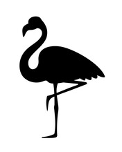 Vector Black Silhouette Of A Tropical Flamingo Bird Isolated On A White Background.