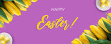 Fototapeta Tulipany - Happy Easter banner with yellow tulips and Easter nest with eggs on a purple background. Happy Easter text for you website