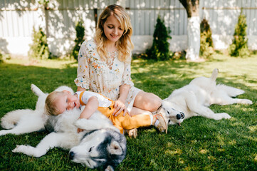 Wall Mural - Mother and son posing with two dogs on the grass