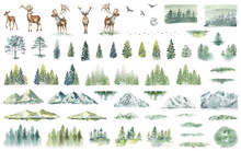 Watercolor Forest Tree Illustration. Mountain Landscape. Woodland Pine Trees. Green Forest. Deer.