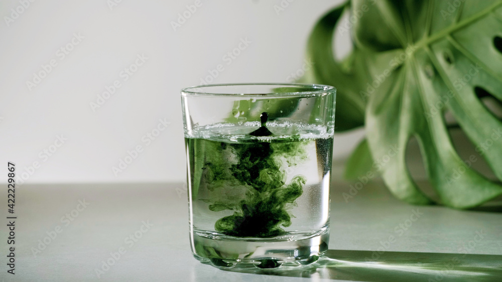 Chlorophyll extract is poured in pure water in glass against a white grey background with green leaf. Liquid chlorophyll in a glass of water. Concept of superfood, healthy eating, detox and diet - obrazy, fototapety, plakaty 
