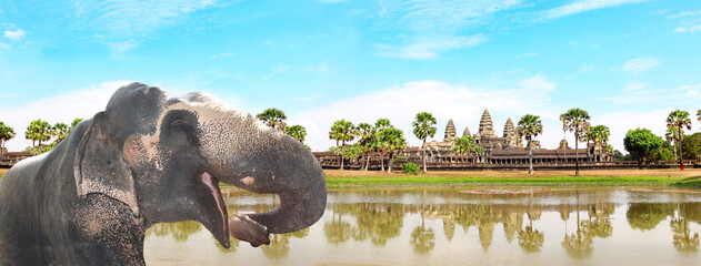 Sticker - Horizontal banner with elephant and Angkor Wat, Cambodia