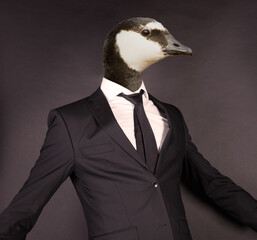 Wall Mural - Barnacle goose head in a black suit