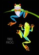 Vector illustration of high detailed tree frog