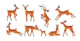 Fototapeta Pokój dzieciecy - Set of cute deer isolated on white background. Adorable spotted bambis lying, running, jumping, eating and walking. Christmas reindeer. Forest horny animals. Colored flat vector illustration