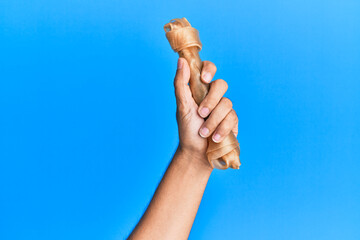 Wall Mural - Hand of hispanic man holding dog bone over isolated blue background.