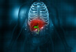 Human liver anatomy. 3d illustration..