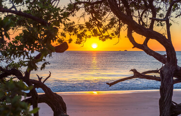 Wall Mural - Beautiful sunset tropical beach with silhouette of trees for travel and vacation in holiday relax time. Playa Flamingo in Guanacaste, Costa Rica. Central America..