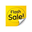 © blankstock - Flash Sale. Special offer price sign. Vector