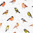 © zzorik - Repeating wallpaper - various birds. Watercolor natural seamless background with hand written text notes