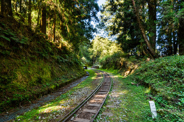Wall Mural - The old forest railway section of Alishan Forest Recreation Area in Chiayi, Taiwan, but is now obsolete and unable to operate