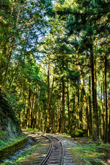 Wall Mural - The old forest railway section of Alishan Forest Recreation Area in Chiayi, Taiwan, but is now obsolete and unable to operate