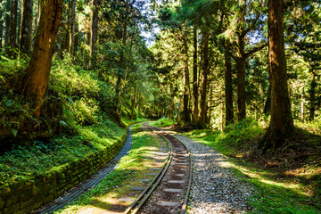 Wall Mural - The old forest railway section of Alishan Forest Recreation Area in Chiayi, Taiwan, but is now obsolete and unable to operate