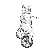 Unicycle Cartoon Circus Cat Sketch Engraving Vector Illustration. T-shirt Apparel Print Design. Scratch Board Imitation. Black And White Hand Drawn Image.