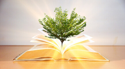 The concept of education by planting a tree of knowledge in open book on wood table in the library, education background.