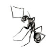 © Anna - Hand drawn watercolor colorful illustration of black ant isolated on white background.