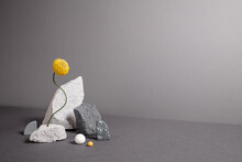 Diverse Geometric Figures With Natural Textures. Abstract Minimalistic Still Life With Copy Space. Balancing Flower With Varied Shapes, Natural Textures. Trendy Colors Of 2021 Year - Gray And Yellow.