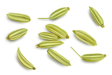 Dried fennel seeds isolated on white background with clipping path. Top view. Flat lay