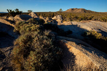 Mojave National Preserve, California: Landscapes Along The Teutonia Peak Trail.