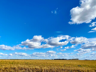 Spring sky