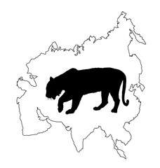 Wall Mural - Tiger vector silhouette illustration isolated on Asia map continent contour on white background. Big wild cat. Siberian tiger (Amur tiger - Panthera tigris altaica) or Bengal tiger.