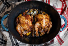 Cornish Hens Fresh Out Of The Oven In A Blue Cast Iron Roasting Dish