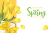 Spring sale design template. Calligraphic lettering text with decorative gift box and yellow tulip flower. Vector stock illustration.