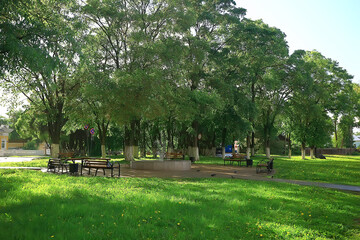 Wall Mural - summer park landscape, green trees and walkway in the summer city park