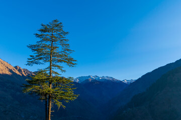 Wall Mural - a mountain valley, pekhri, tirthan valley, himachal pradesh, india