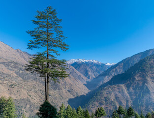 Wall Mural - a mountain valley, pekhri, tirthan valley, himachal pradesh, india