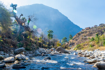 Wall Mural - a mountain stream, pekhri, tirthan valley, himachal pradesh, india