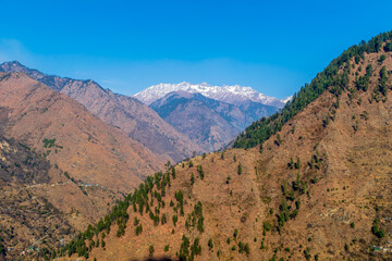 Wall Mural - a mountain valley, pekhri, tirthan valley, himachal pradesh, india