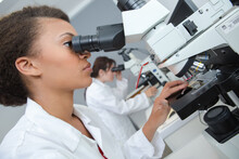 Laboratory Technician Looking Into Microscope Eyepiece