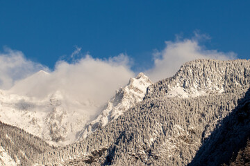 Misty winter time in Bohinj mountains	