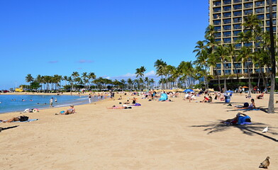 Sticker - Waikiki Beach auf der Insel Oahu, Honululu, Hawaii