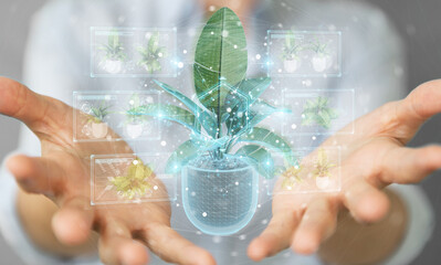 Fototapete - Woman holding and touching holographic projection of a plant with digital analysis 3D rendering