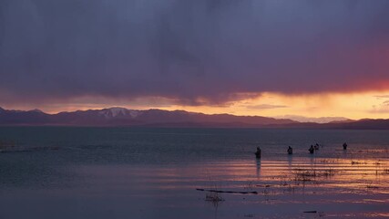 Wall Mural - Fishermen lined up in Utah Lake during storm fishing during sunset as the colors fade.