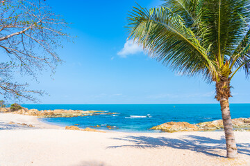 Wall Mural - Beautiful tropical beach sea ocean with coconut palm tree