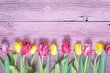 © zyryanova - Lots of tulips on a pink wooden background. Floral pattern. Space for the text.