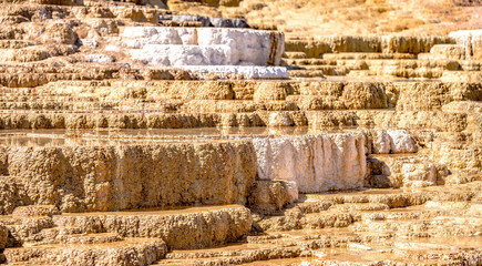 Wall Mural - Travertine Terraces, Mammoth Hot Springs, Yellowstone