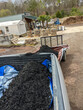 © digidreamgrafix - front loader filling pickup and trailer with black mulch