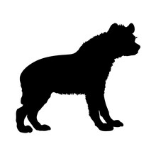 Hyena Dog Silhouette