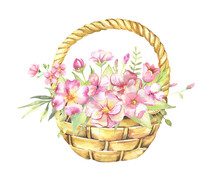 Watercolor Floral Illustration - Basket With Leaves And Branches Bouquets With Pink Flowers And Leaves For Wedding Stationary, Greetings, Wallpapers, Background. Roses, Green Leaves. . High Quality