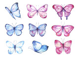 Fototapeta  - Watercolor colorful butterflies, isolated on white background. blue, pink and red butterfly spring illustration. High quality illustration