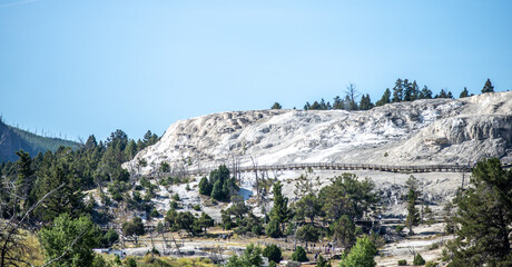 Wall Mural - Travertine Terraces, Mammoth Hot Springs, Yellowstone