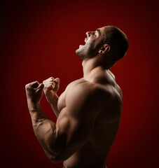 Screaming strong muscular man, bodybuilder stands with naked chest shirtless, holding up his fists celebrating victory over red background. Side view