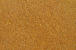 Texture of wet sea yellow coarse sand