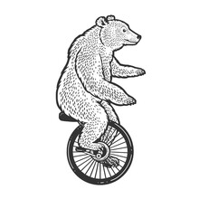Unicycle Cartoon Circus Bear Sketch Engraving Vector Illustration. T-shirt Apparel Print Design. Scratch Board Imitation. Black And White Hand Drawn Image.