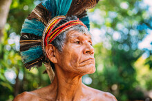 Indian From The Pataxó Tribe, With Feather Headdress. Elderly Brazilian Indian Looking To The Right. Focus On Face